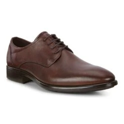 ECCO Men’s Citytray Plain Toe Derby Cognac